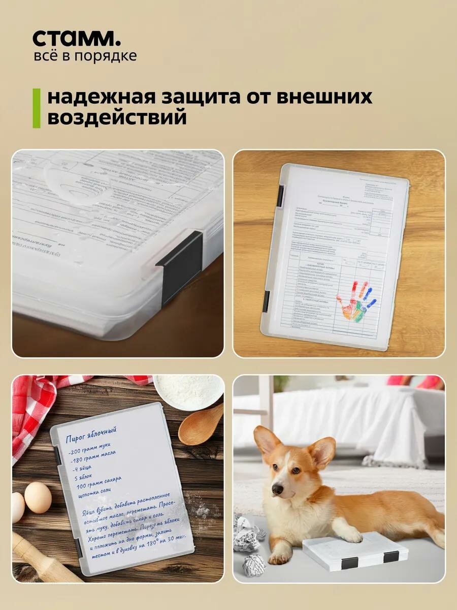 Папка для хранения документов с защелками СТАММ, А4 235*310*40мм, пластиковая, прозрачная, черные защелки — фото 1