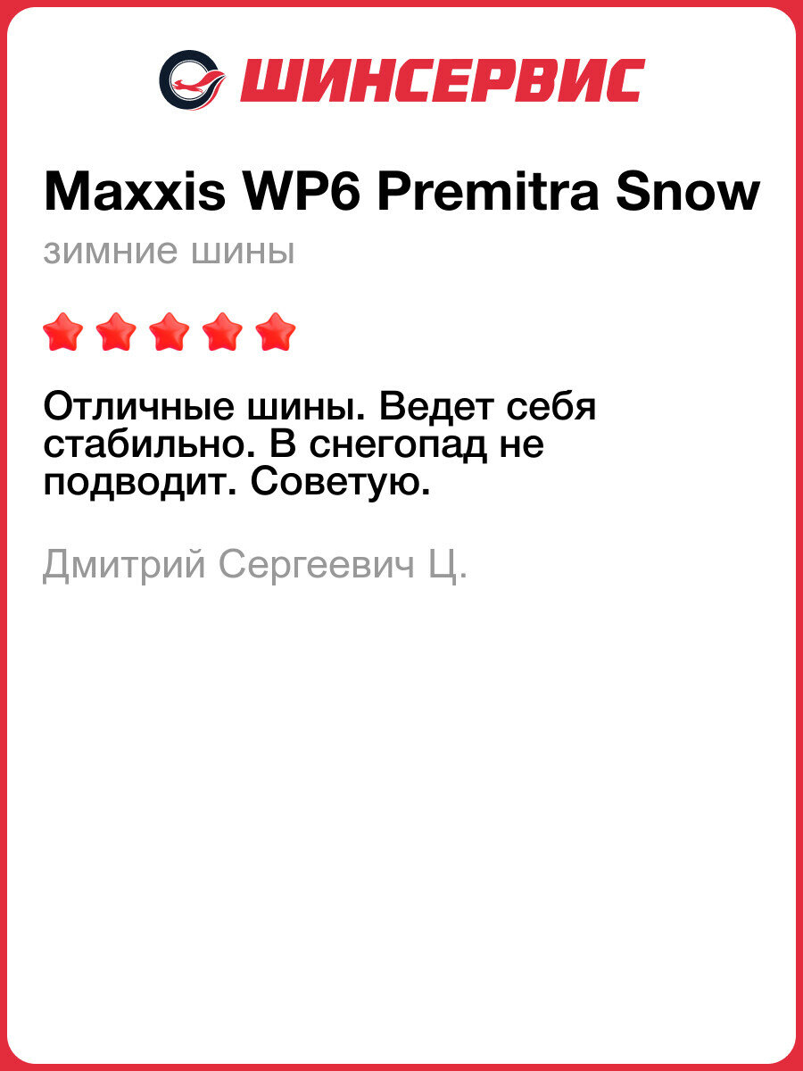 Зимняя нешипованная шина Maxxis WP6 Premitra Snow 195/65 R15 91T — фото 1