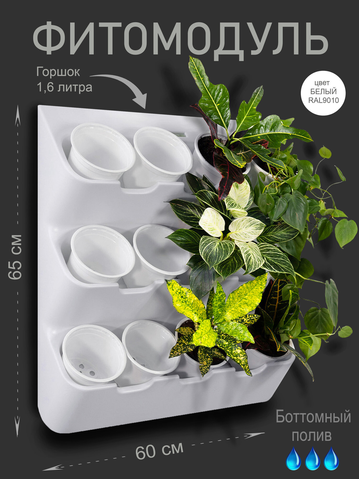 Фитомодуль 