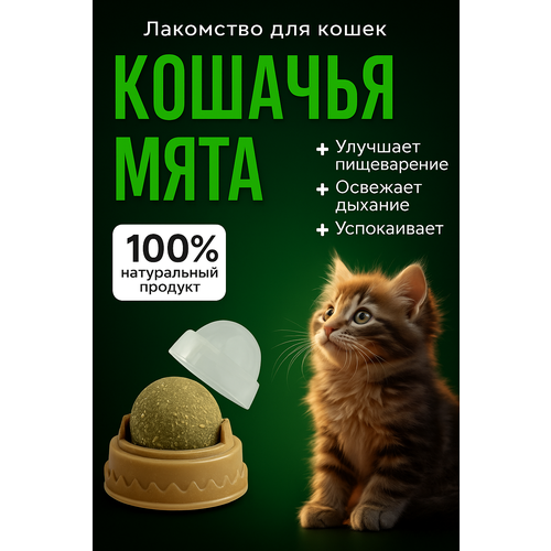 Игрушка для кошек шарик мятный лакомство на липучке COLOR Si 500₽