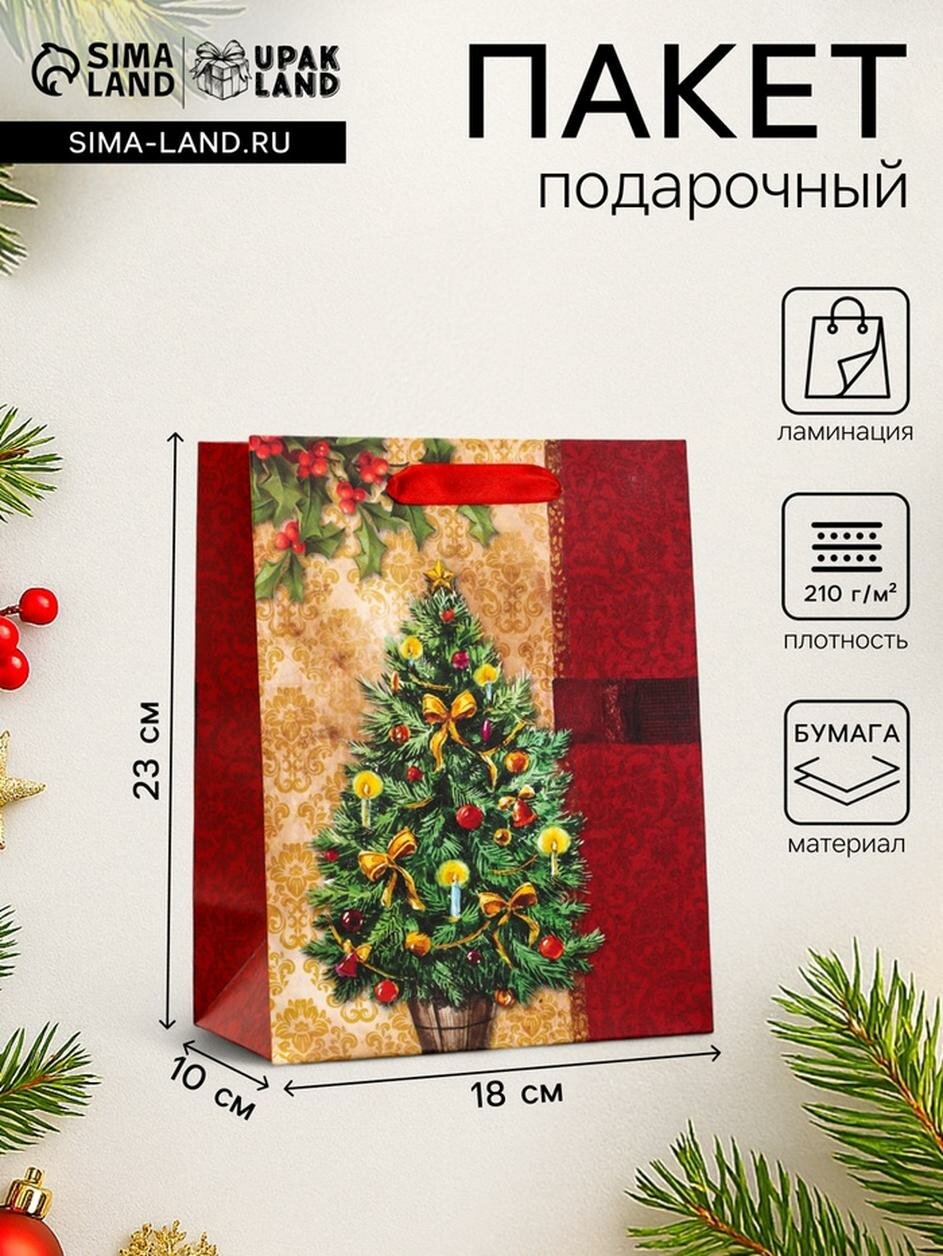 Пакет подарочный ламинированный 