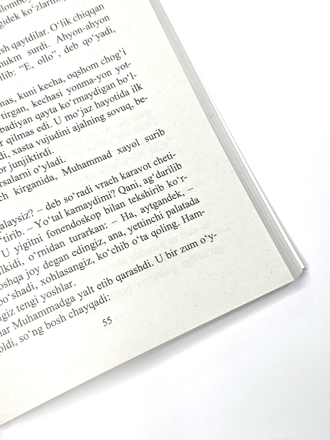 Онамнинг юрти, Хайриддин Султан — фото 1