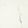 Фото IVC