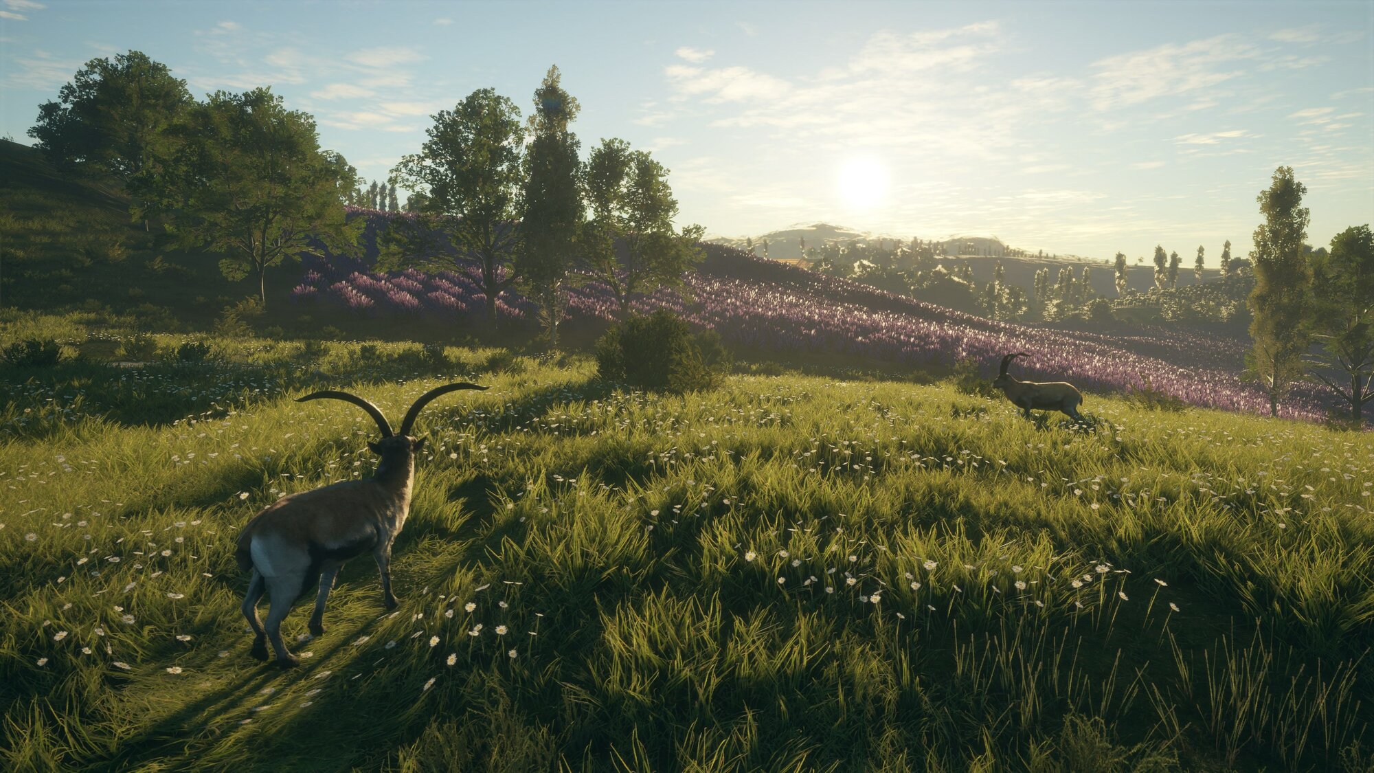 TheHunter: Call of the Wild Diamond Набор Steam Ключ • Активация Steam