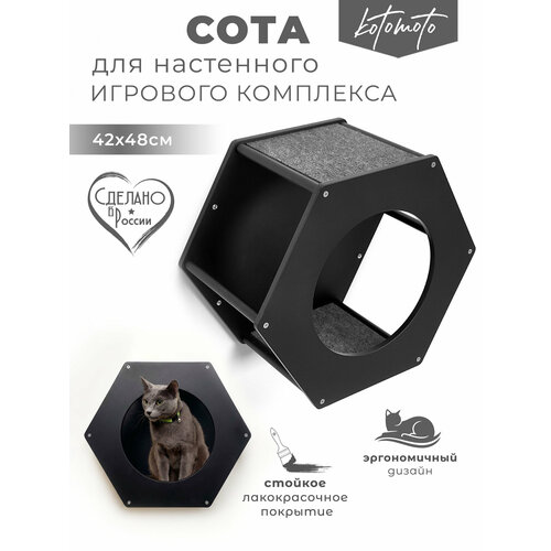 фото Полка для кошек настенная на стену котомото / настенный игровой комплекс для кошек kotomoto