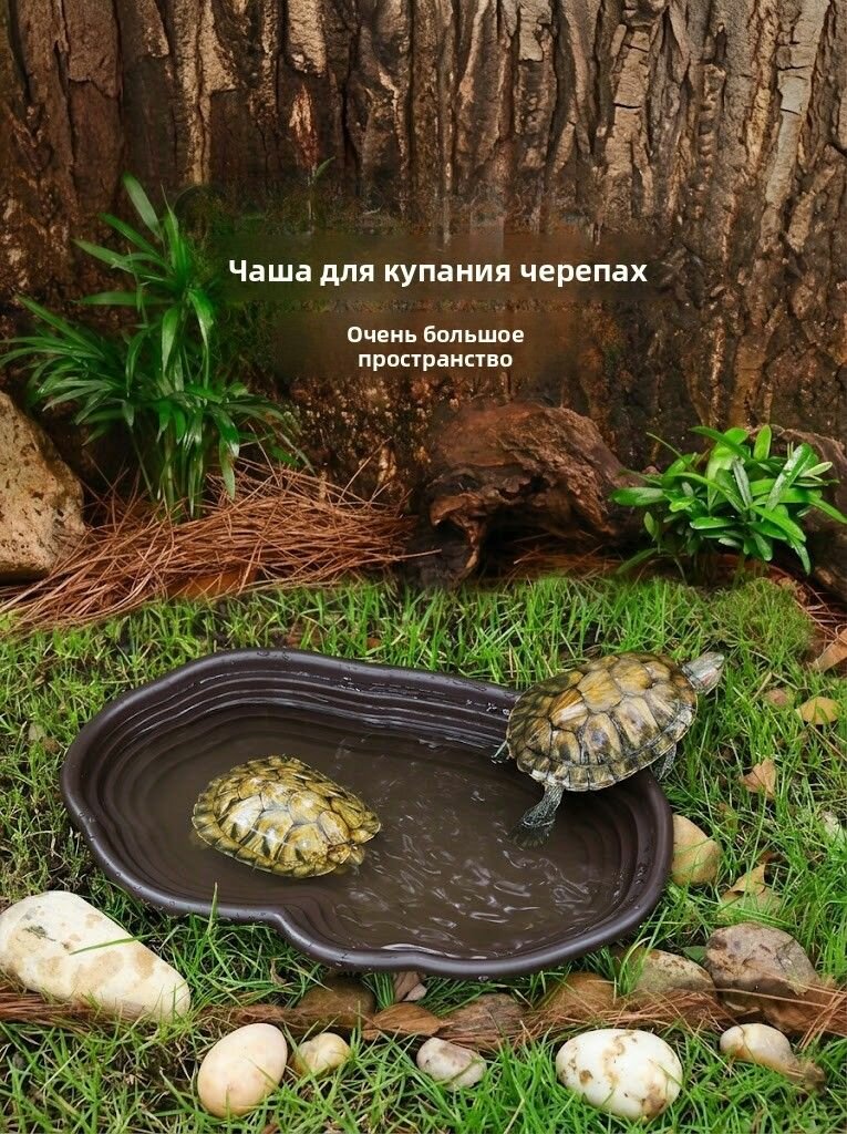 Террариум для рептилий для растений
