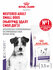 Neutered Adult Small Dog