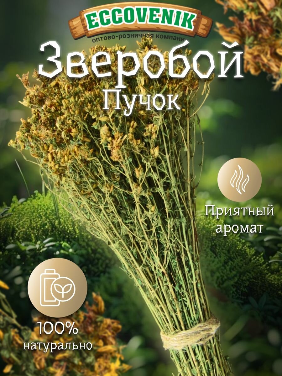 Веник для бани ECCOVENIK 