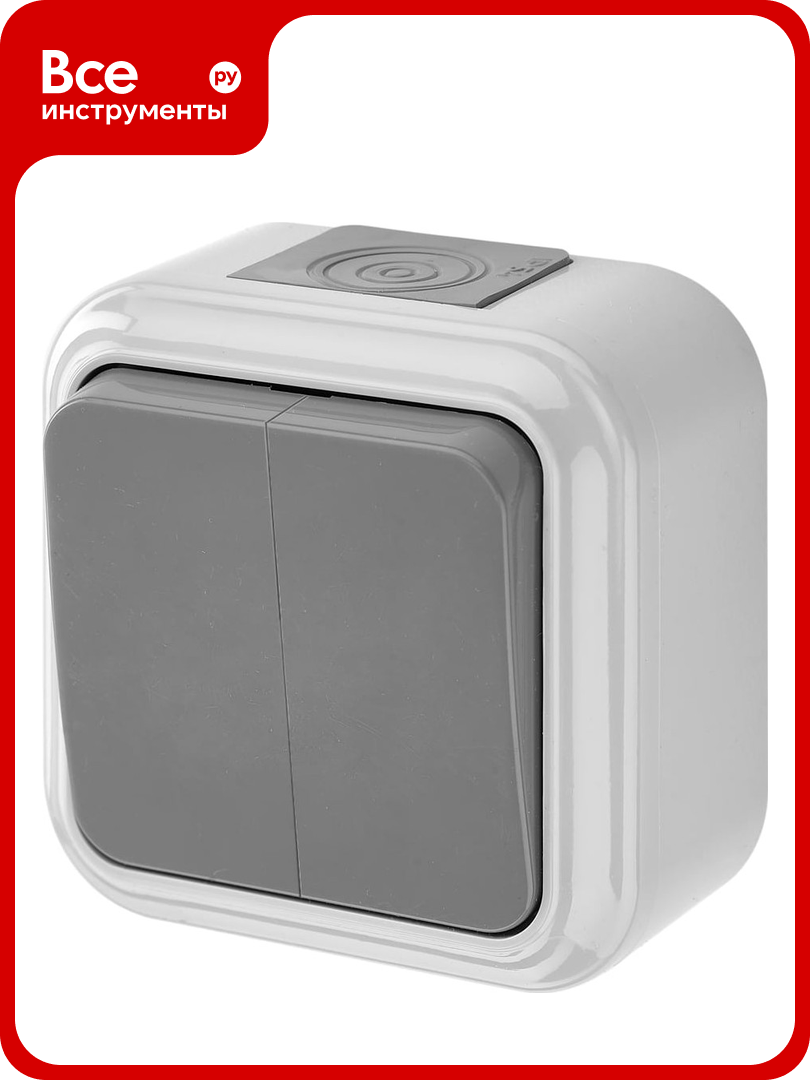 Выключатель Bylectrica 2 клавишная  открытая установка  6А  IP54  серия пралеска аква  серый  А56 224 03