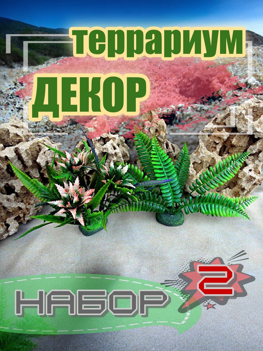 Набор ДЕКОР Террариум 2 шт для рептилий и амфибий ручная работа