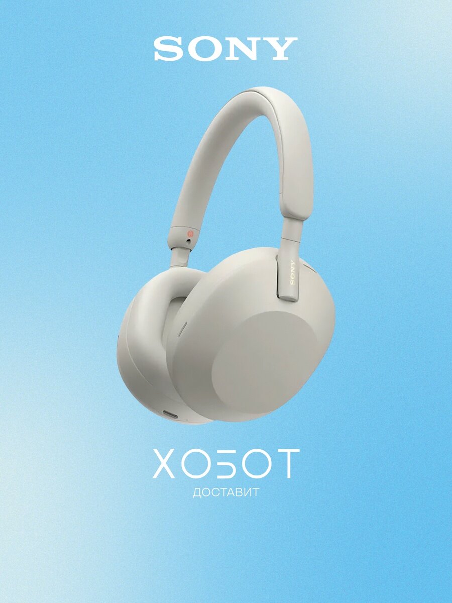 Наушники Sony серебристые (WH-1000XM5)