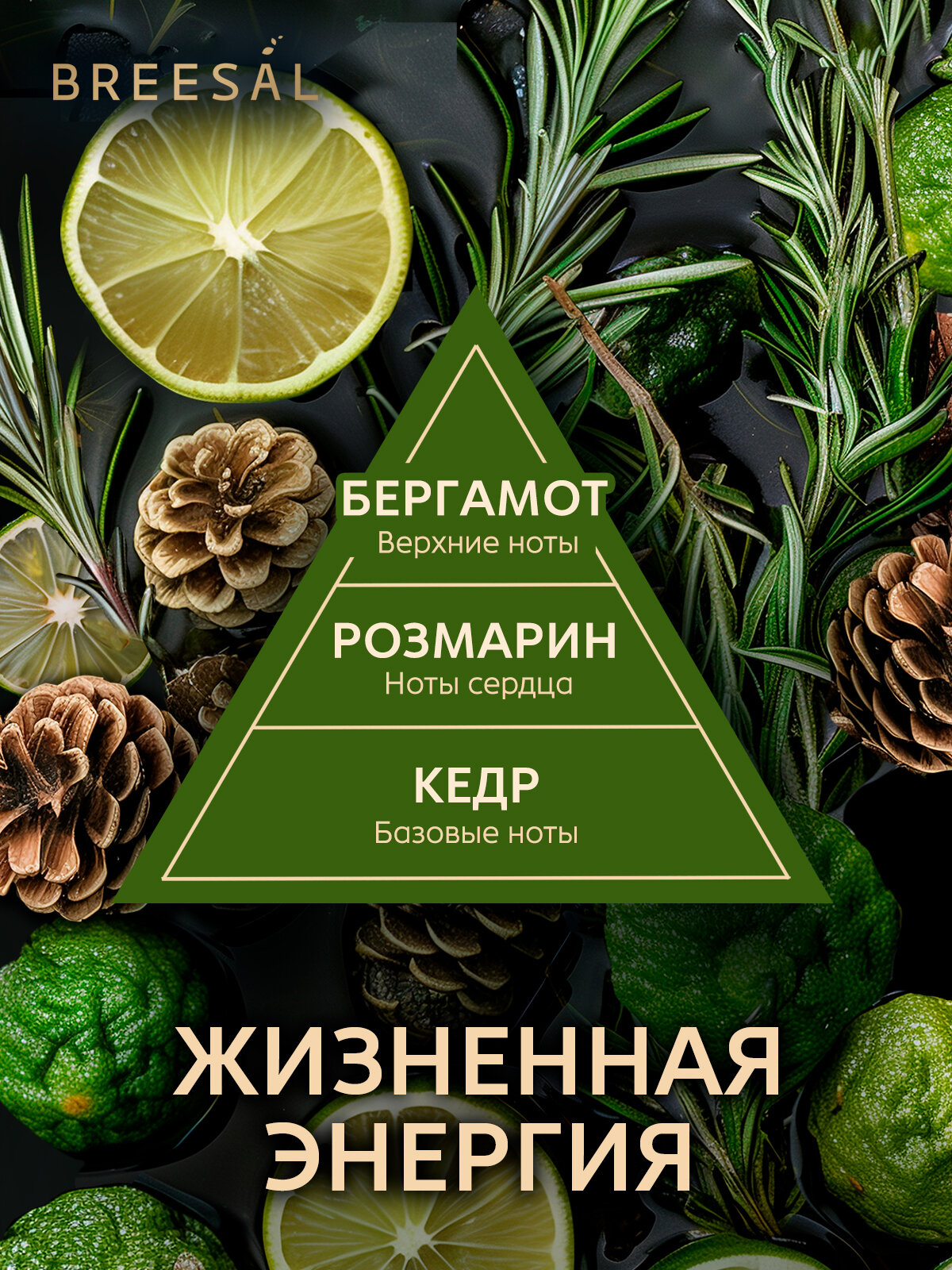 Диффузор ароматический для дома, ароматизатор с палочками Breesal Arome Sticks Жизненная энергия 70 мл, Набор 2 шт. — фото 1