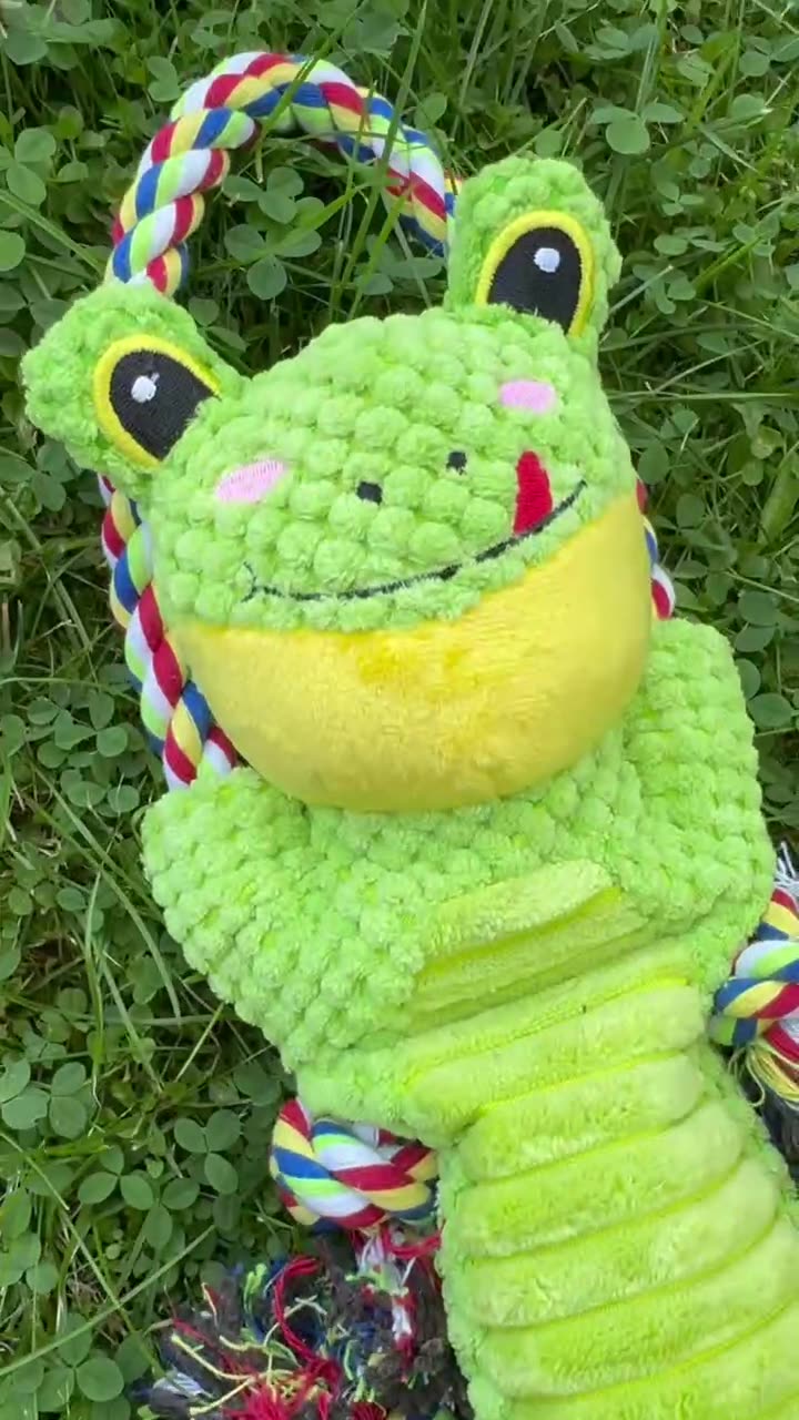 Игрушка для собак BIG tiny "Лягушка", с канатом, для зубов, шуршащая, зеленая — фото 1
