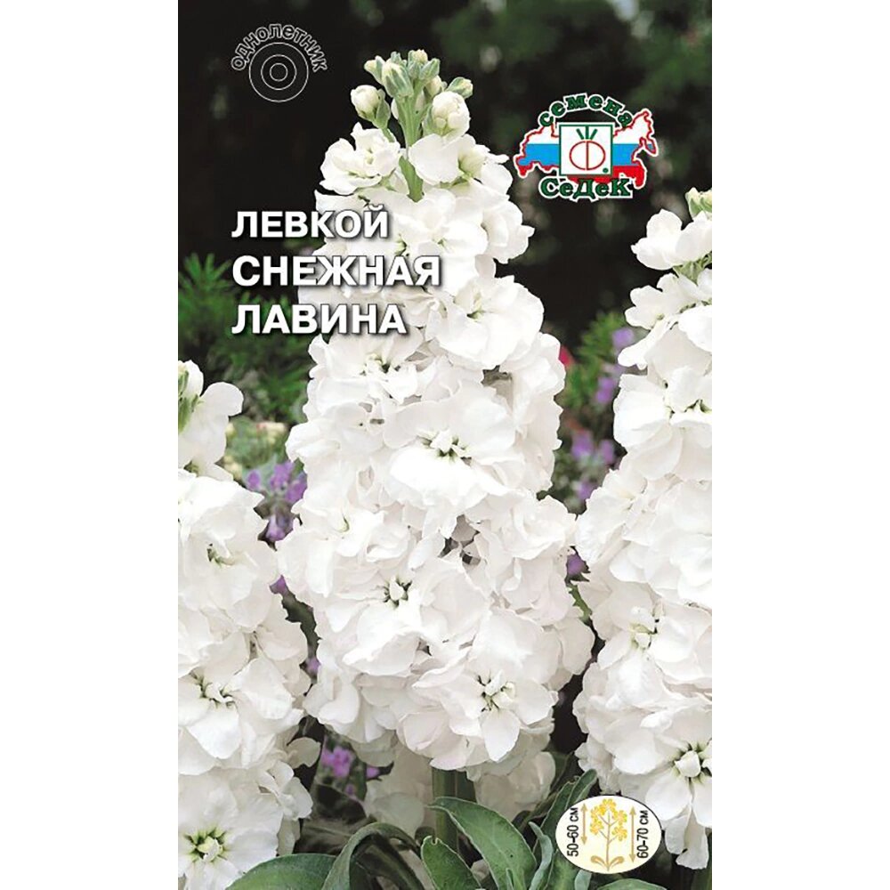 Левкой (маттиола) Снежная лавина 01 г