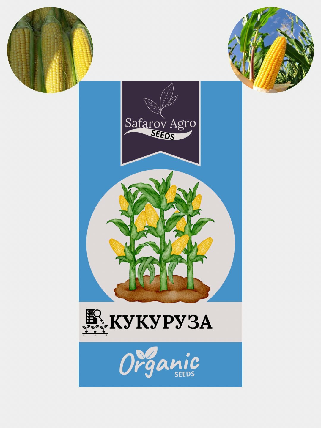 Семена кукурузы. кукурузные семена. для посадки. Семена сладкой гибридной кукурузы