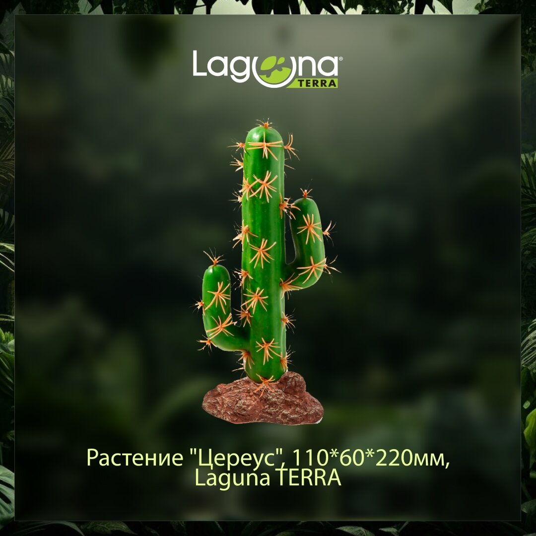 Декор для террариума 