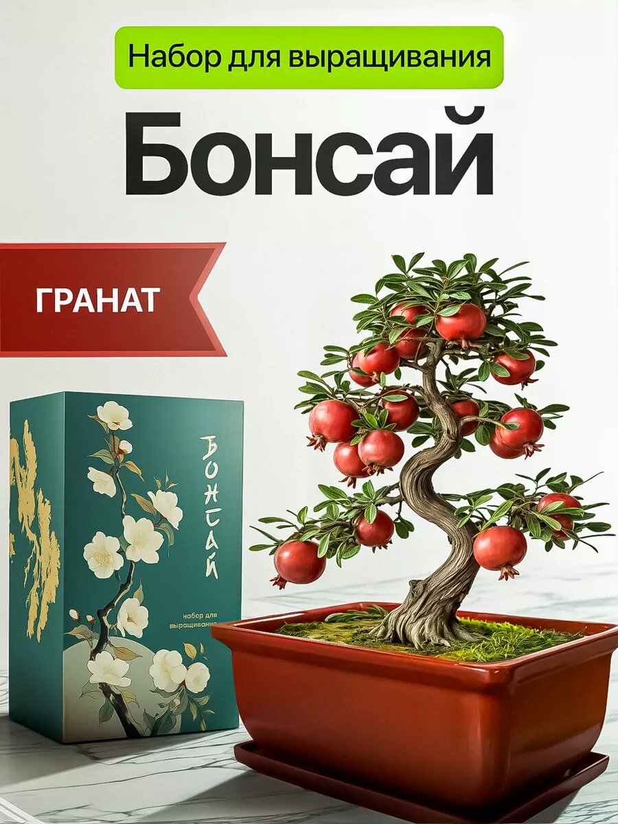 Бонсай набор для выращивания растений Гранат