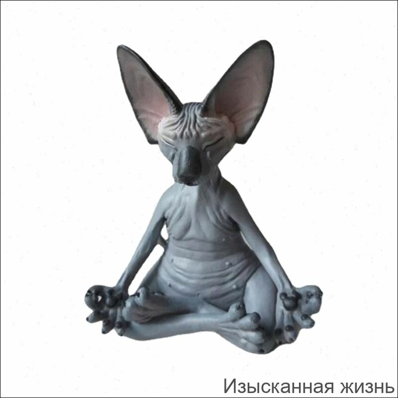 Украшения для кошек-йогов