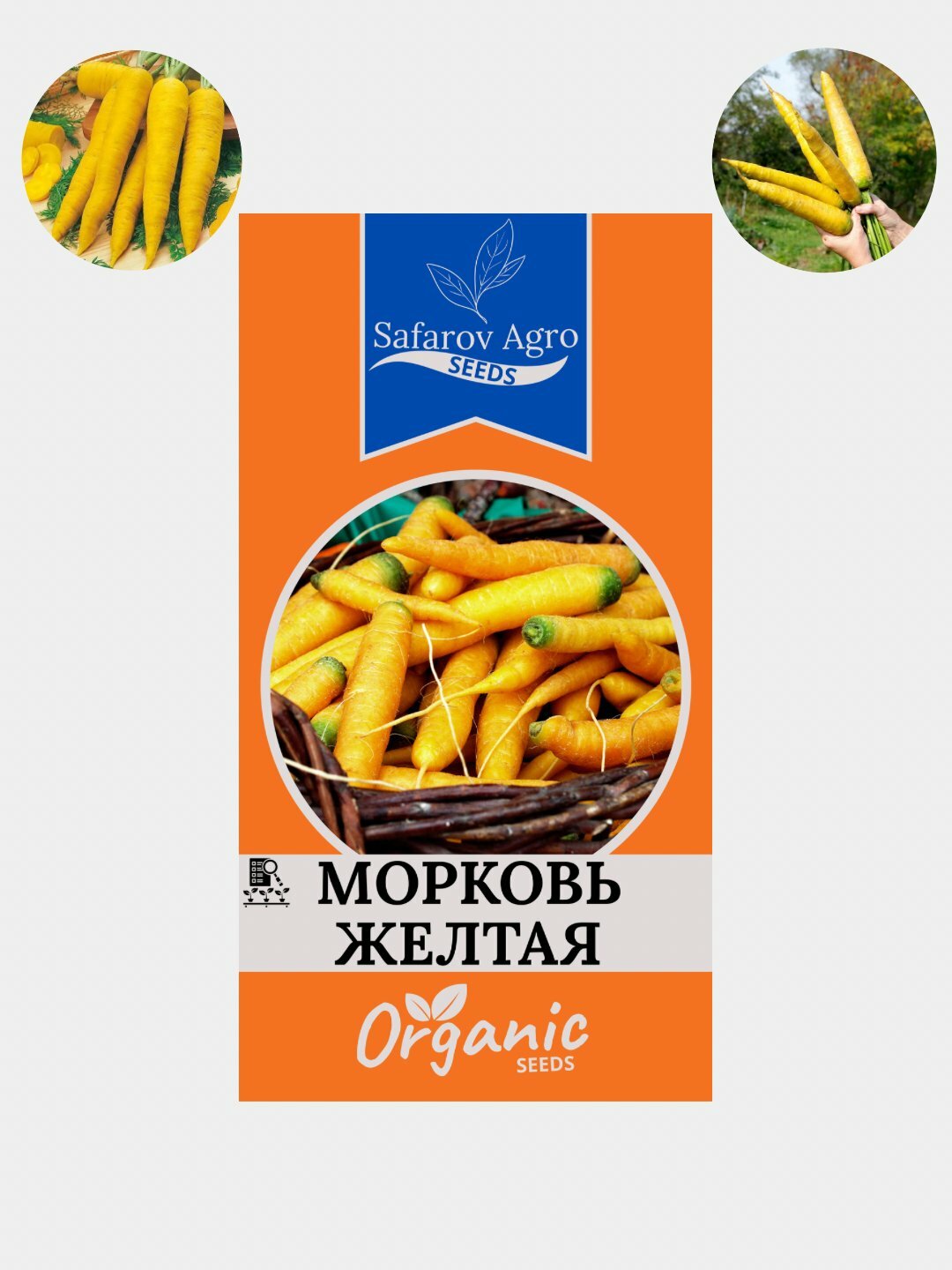 Семена Моркови. Морковь Семена Семена Моркови. Морковь Семена