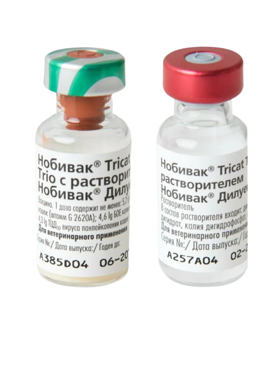 Вакцина для кошек Tricat с растворителем.