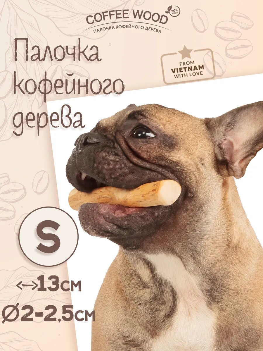 Палочка кофейного дерева S