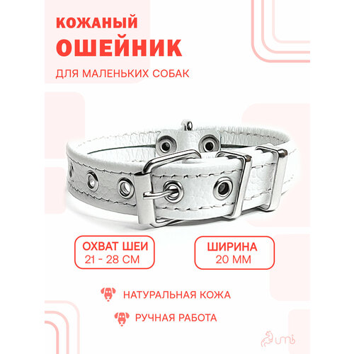 фото Кожаный ошейник (обхват шеи 21-28 см.) для собак / белый цвет umbi