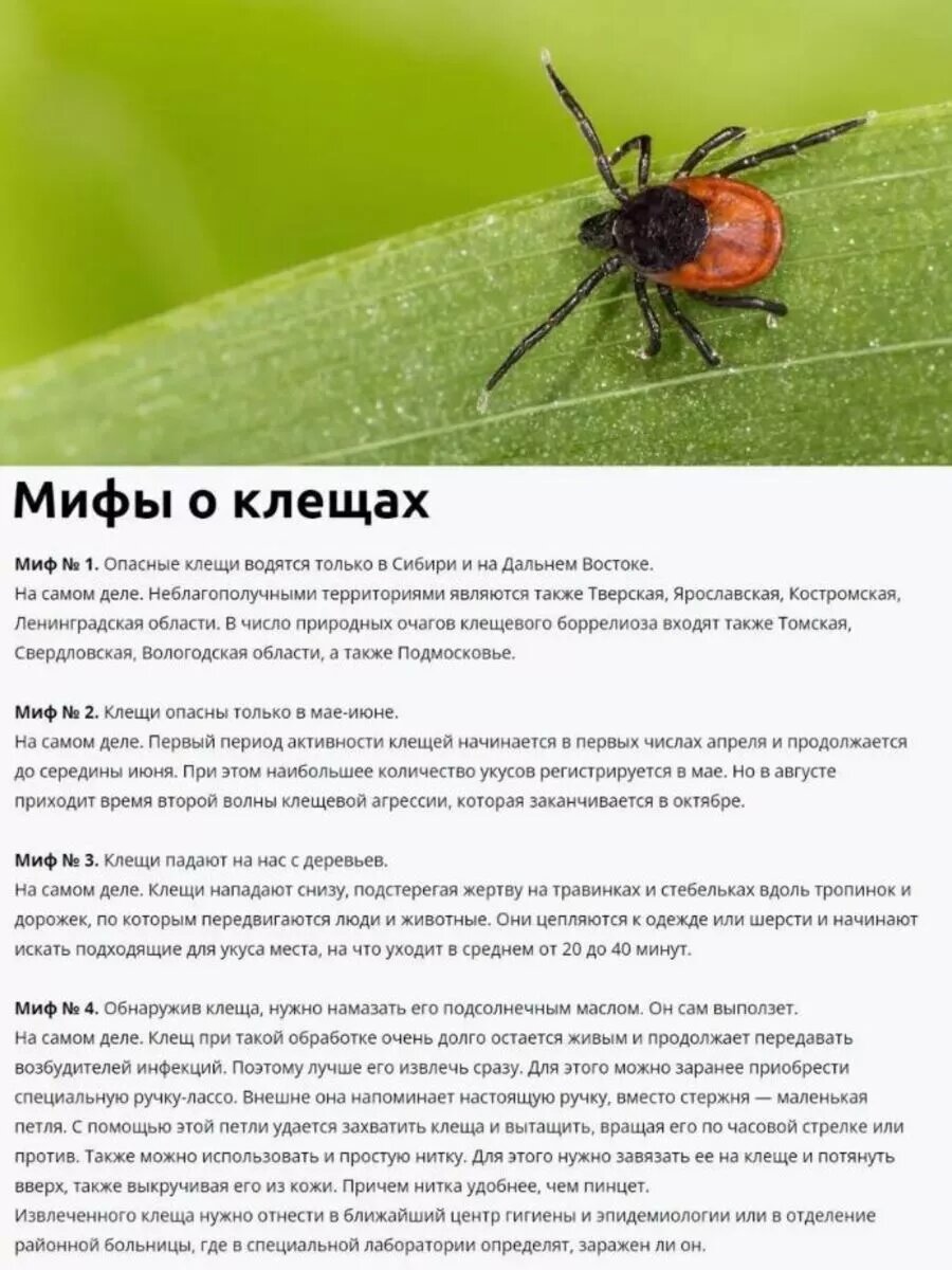 Средство от клещей на приусадебных, дачных и садовых участках Клещевит Супер 100 мл — фото 1