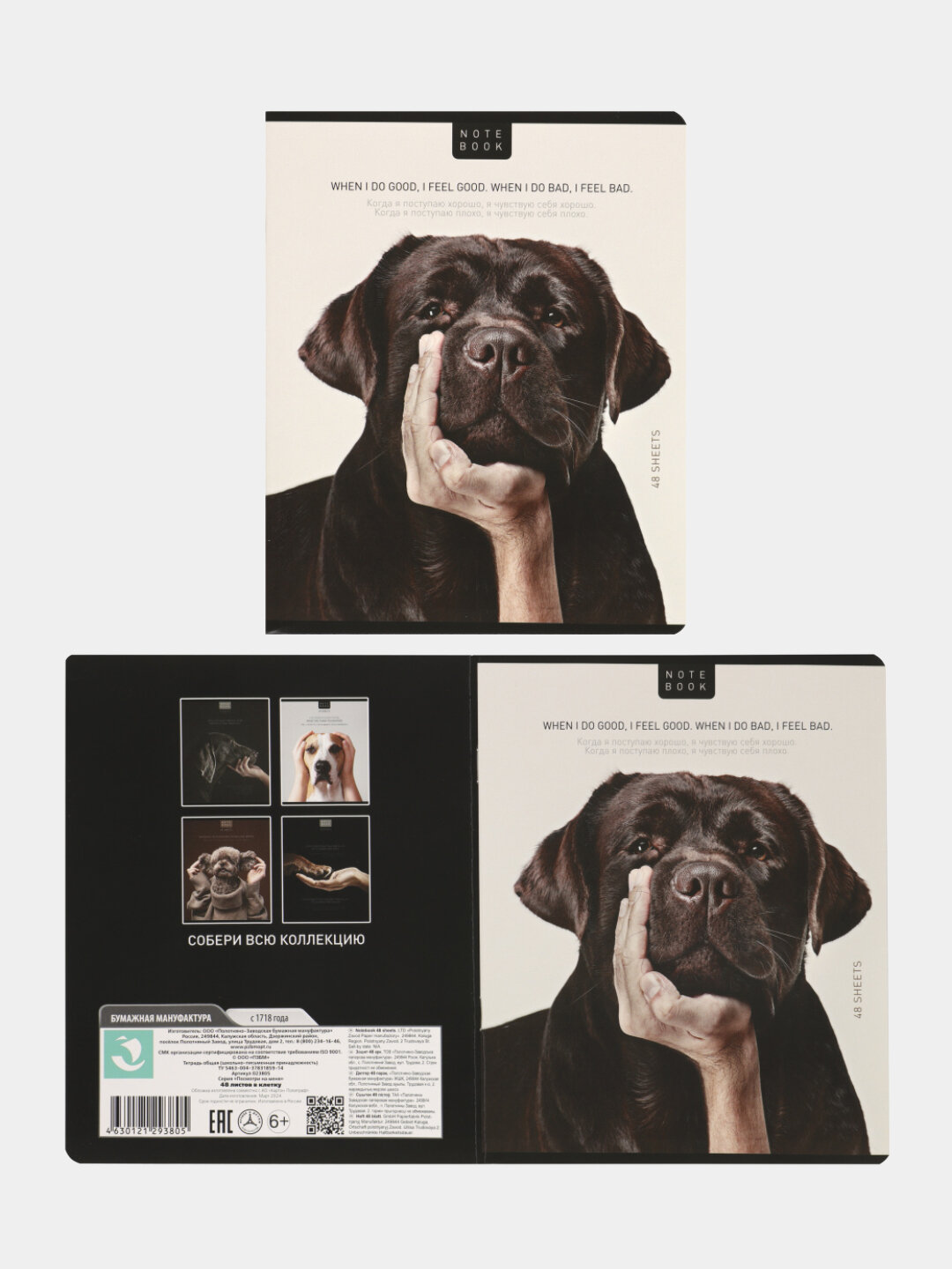 Тетрадь А5, 48 листов, клетка, поля, ассорти, 5 видов