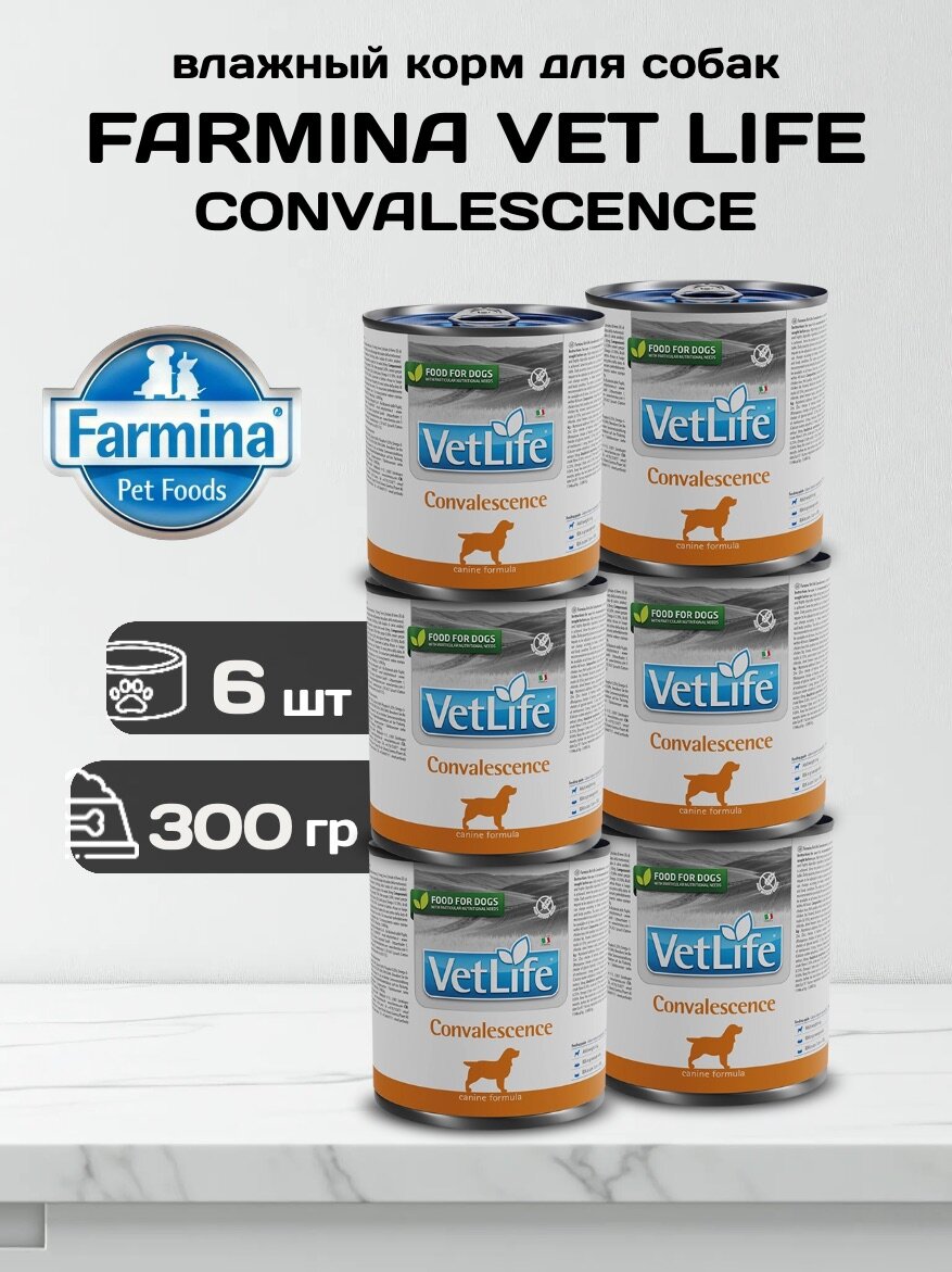 Влажный корм для собак Farmina Vet Life Dog Convalescence в период выздоровления - 300 гр х 6 шт