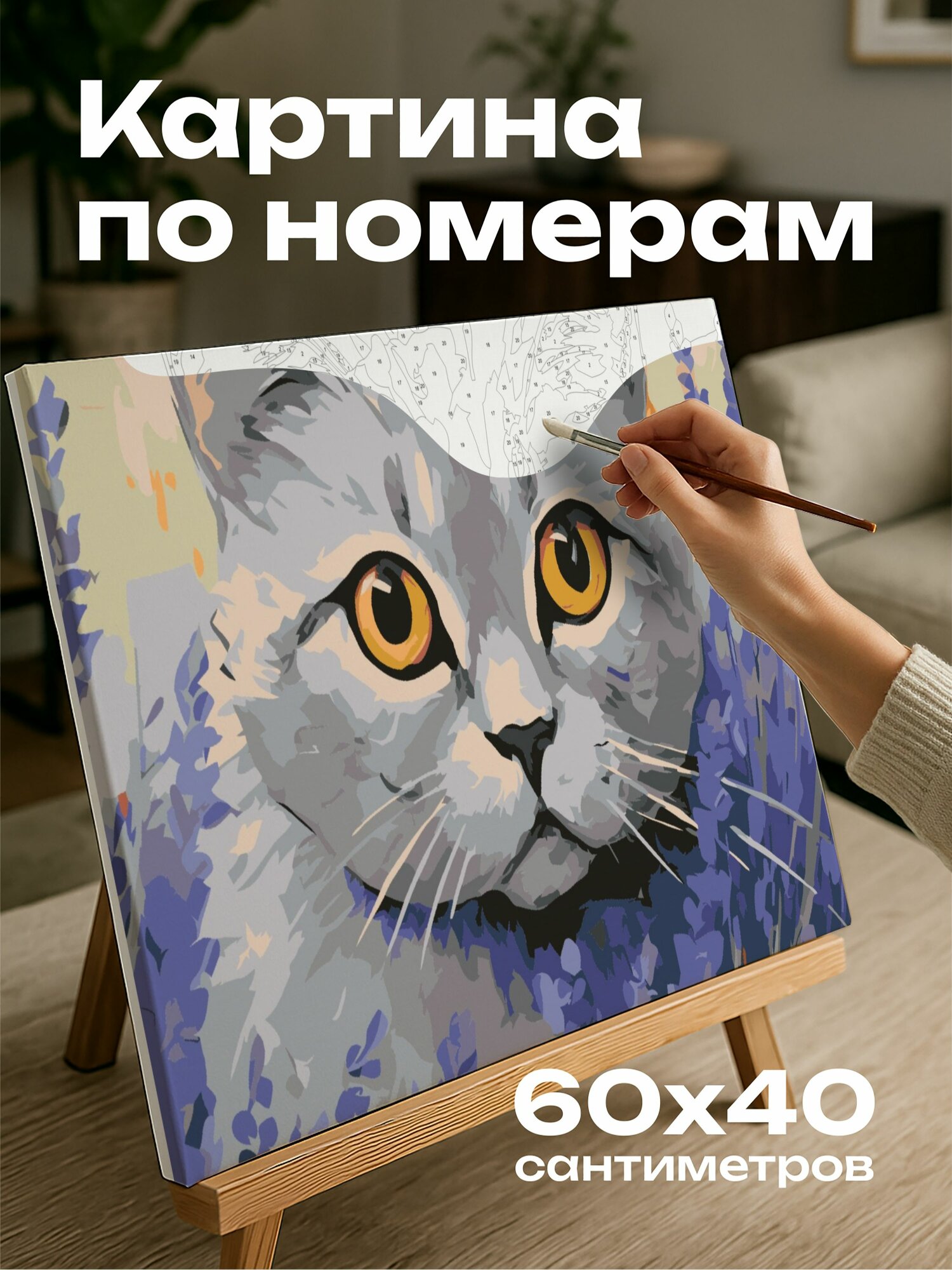 Картина по номерам 60x40 см, акриловая картина, британская кошка, поле, цветы лаванды, выразительные глаза