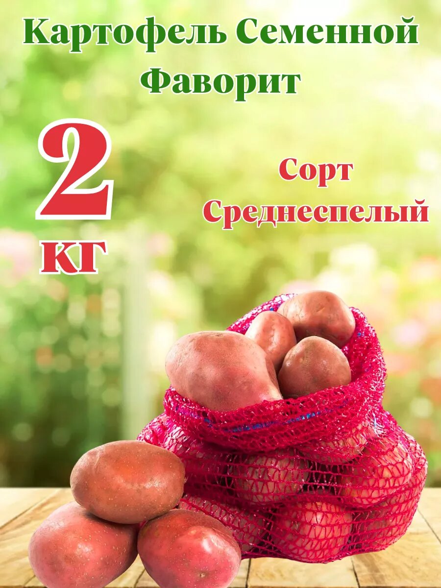 Картофель Семенной Фаворит 2кг
