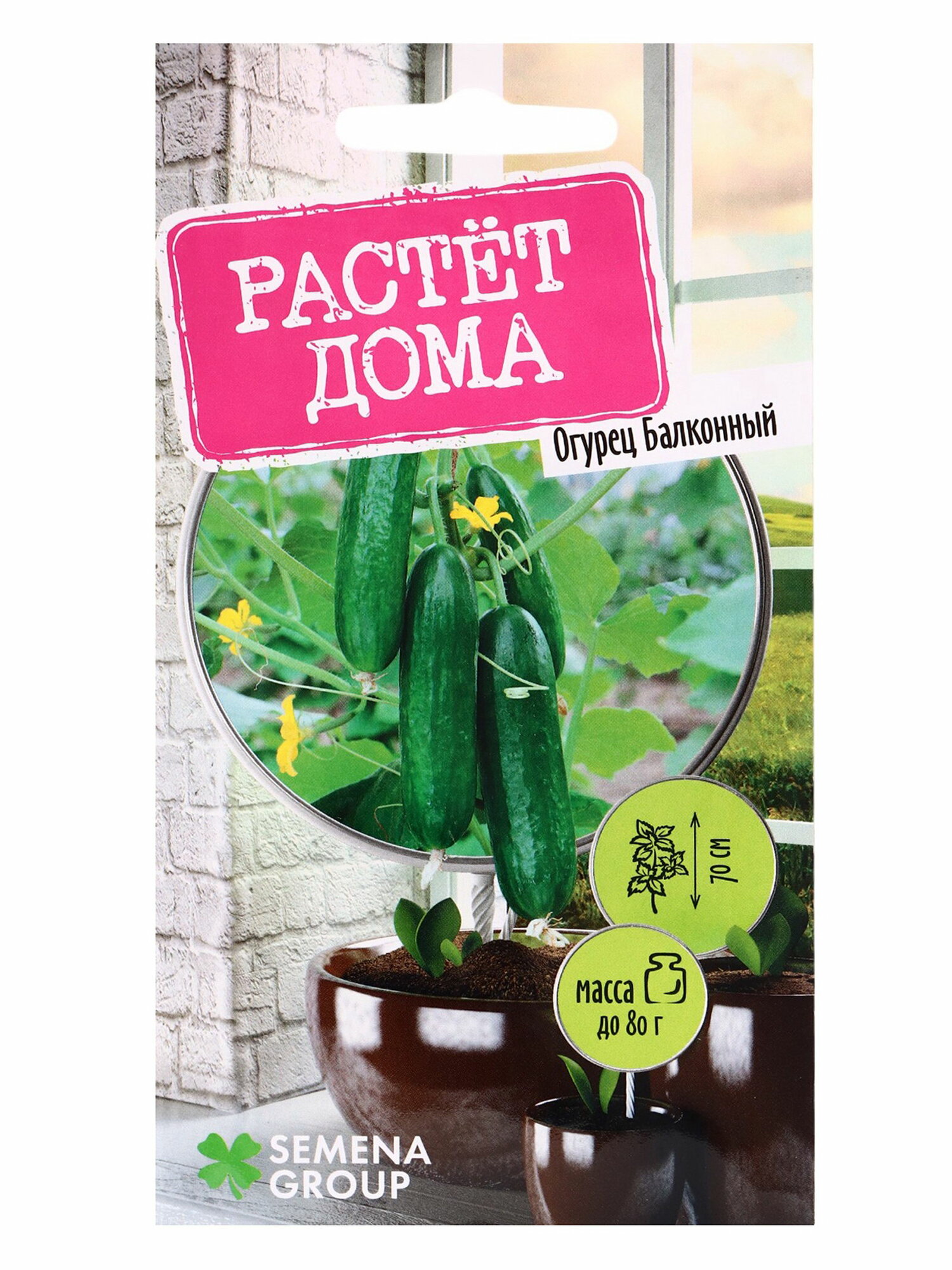 Семена огурец балконный 