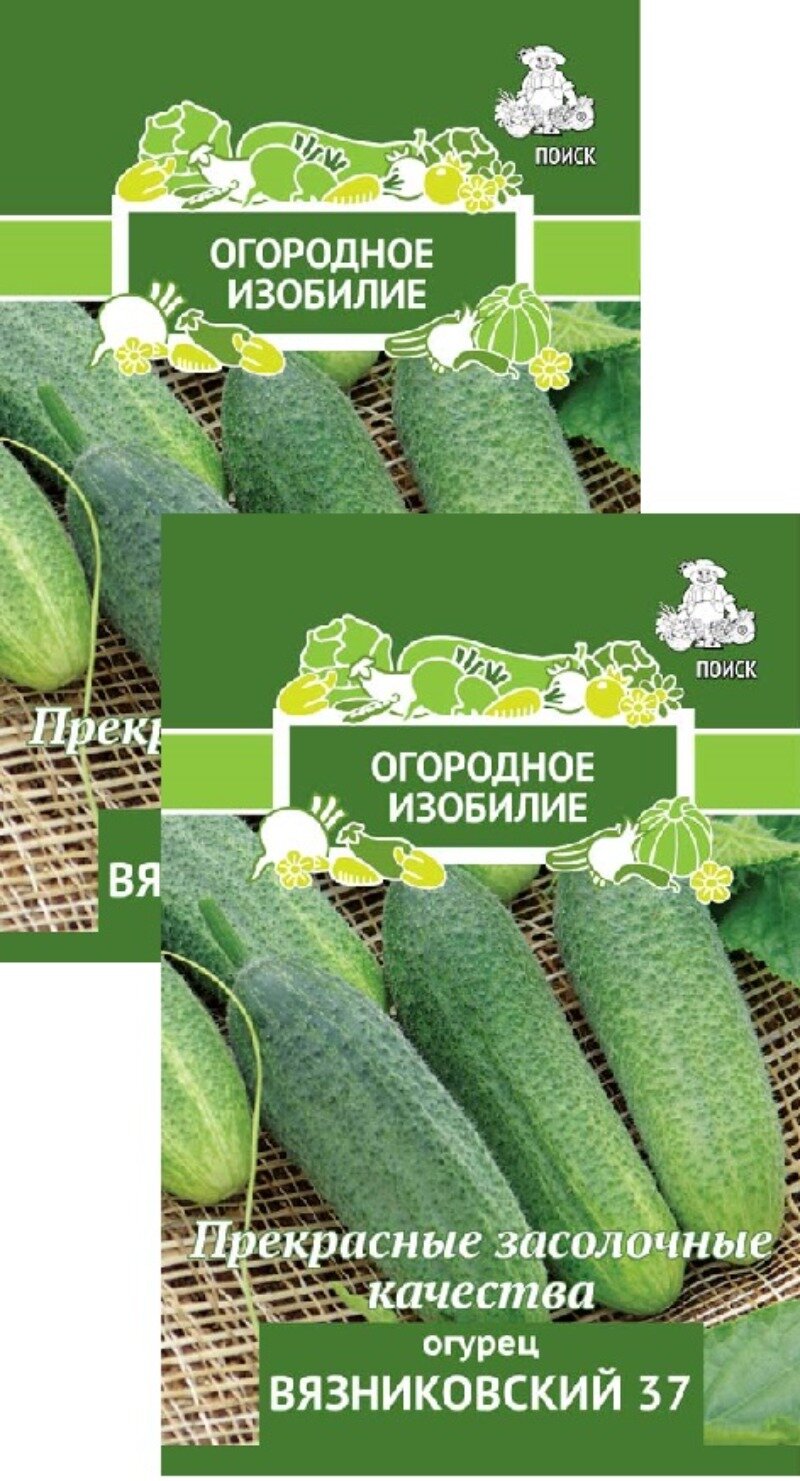 Семена Огурец Вязниковский 37 (05 г) 2 пакета Агрофирма Поиск