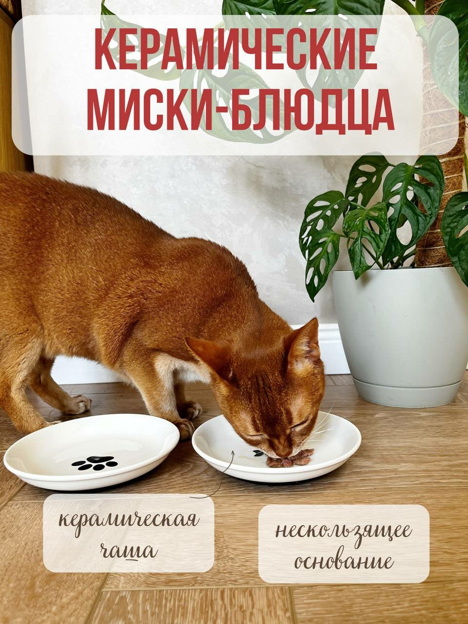 Набор мисок керамика для кошек и собак 2 блюдца по 200 мл