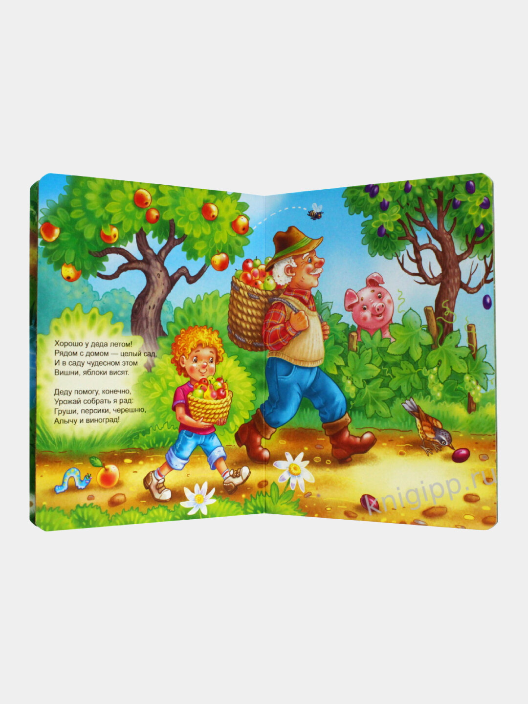 Картонка. На деревню, к дедушке — фото 1