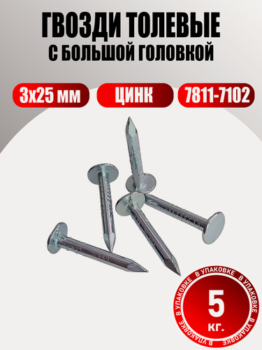 Изображение товара Гвозди толевые оцинкованные 3х25 мм с большой головкой 5 кг