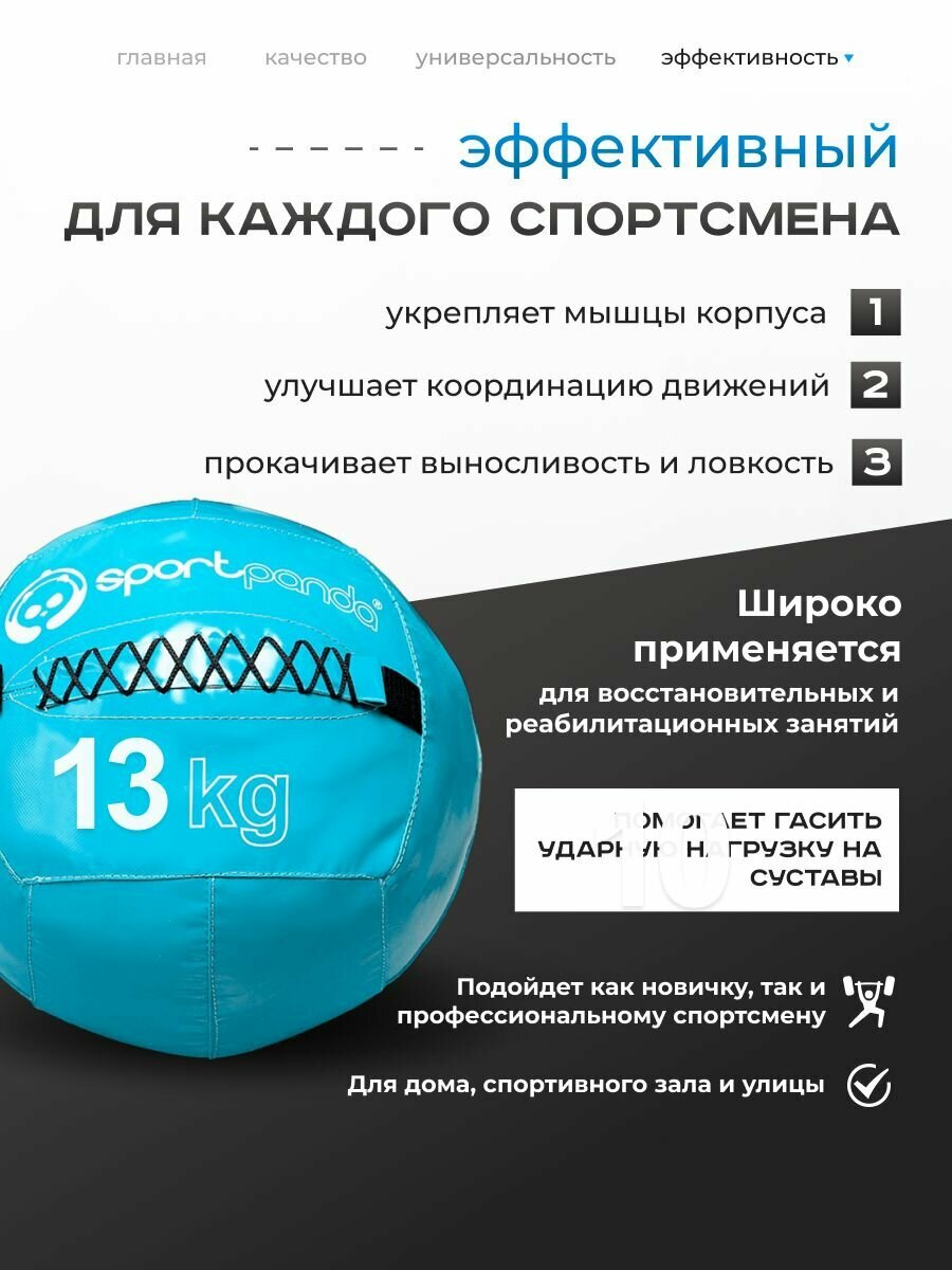 Медбол SportPanda, ПВХ, диаметр 38 см, 13 кг, армированные швы — фото 1