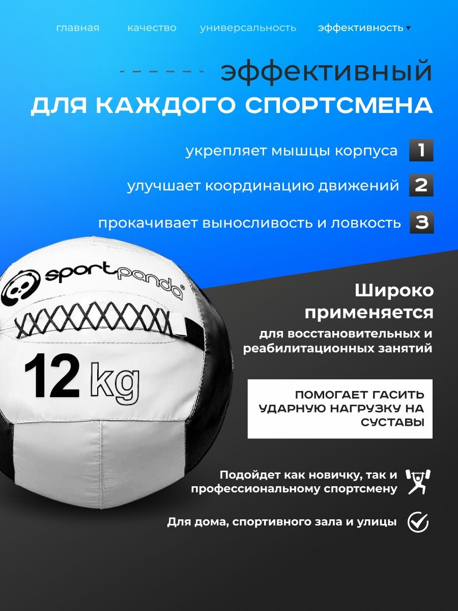 Медбол SportPanda, ПВХ, диаметр 38 см, 12 кг, армированные швы — фото 1