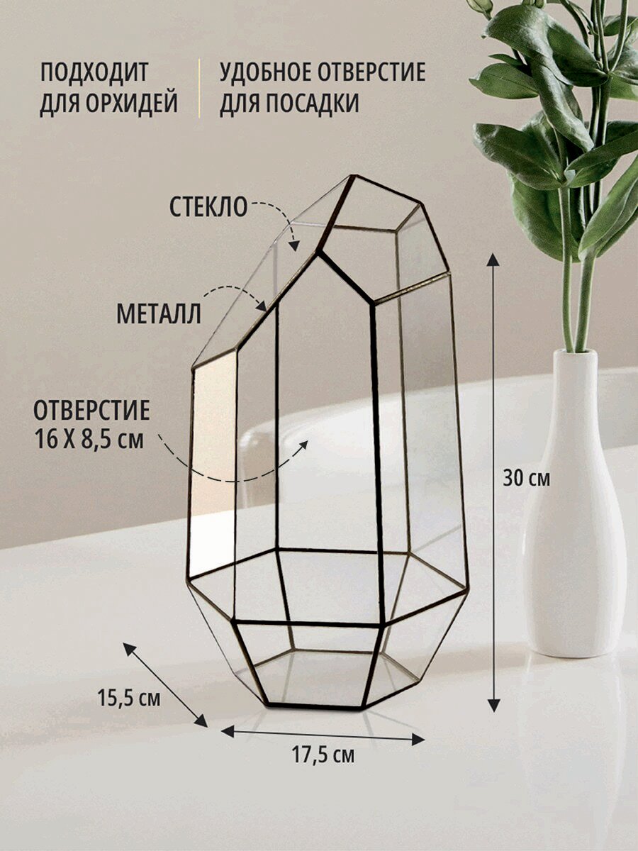 Флорариум Арт-Птица 1048/1, для орхидей, 30 см х 15,5 см х 17,5 см, прозрачный — фото 1
