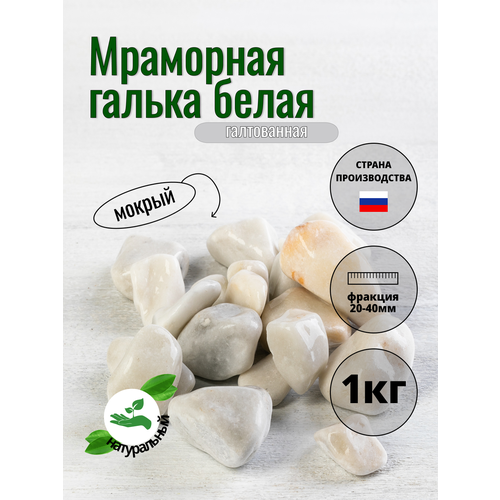 Камень декоративный Галька белая фракция 20-40 мм 1 кг. Грунт для аквариума (318)