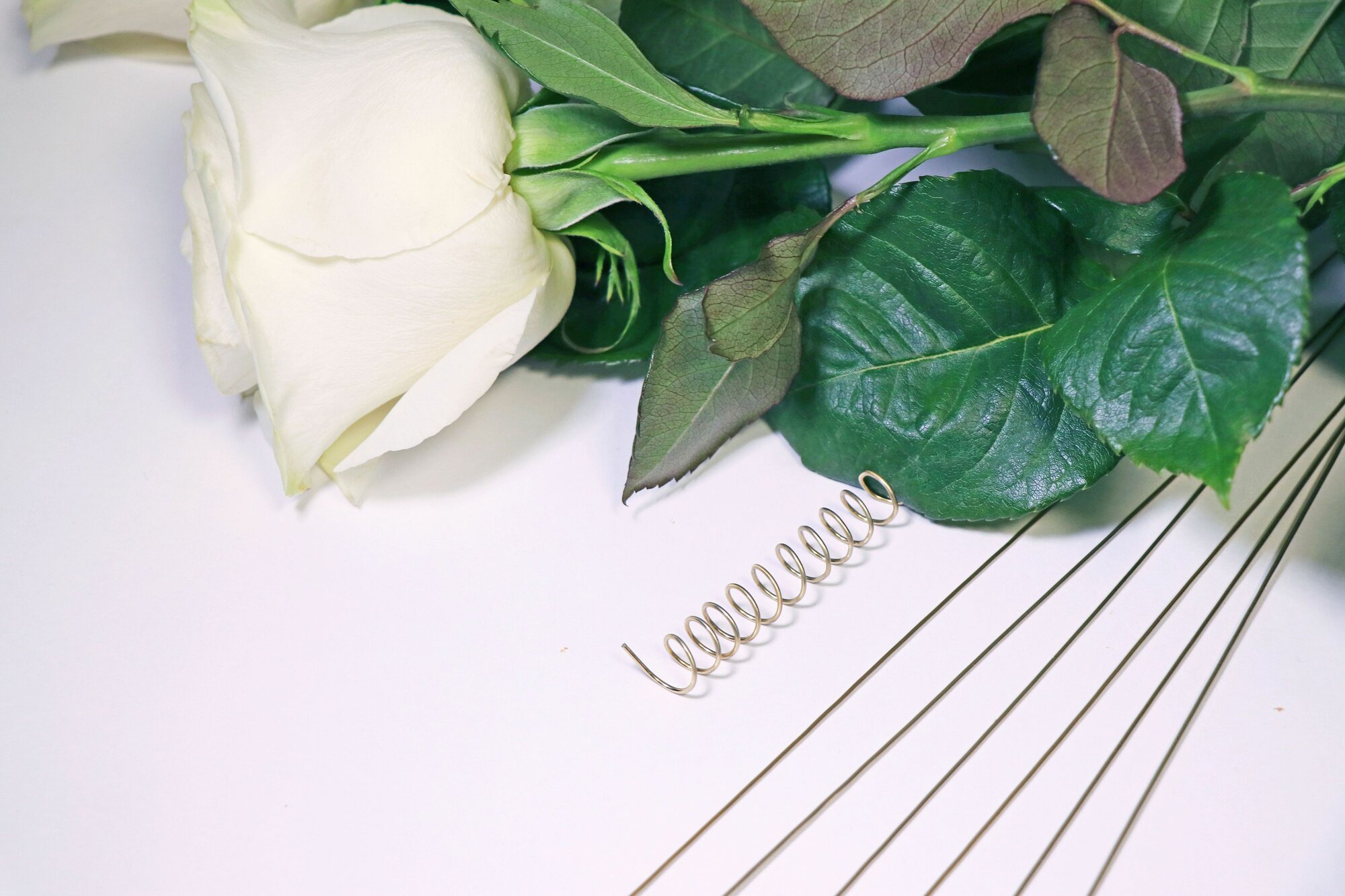 Проволока флористическая с декоративным покрытием / Для флористики d 1.0 мм, длин 40 см / Проволока герберная (друт)/для творчества