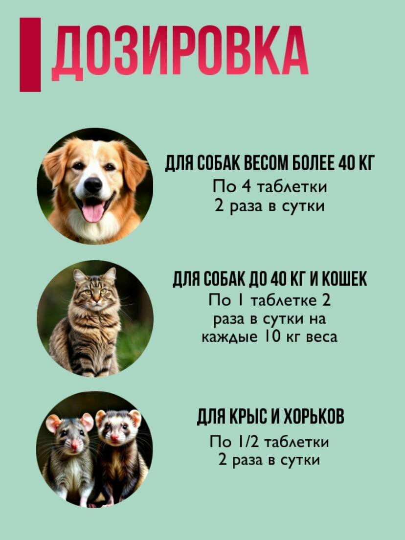 Хондропротекторы Артрогликан 300 таблеток витамины для животных хондропротектор для собак кошек хорьков крыс