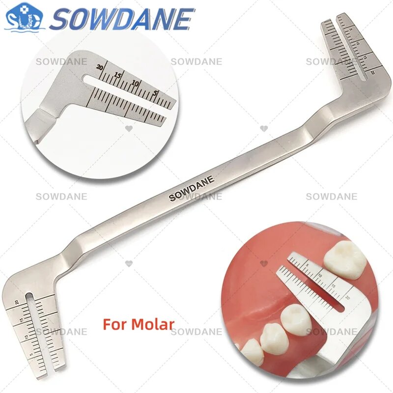 Направляющая для моляров SOWDANE, Цвет: 1 piece C