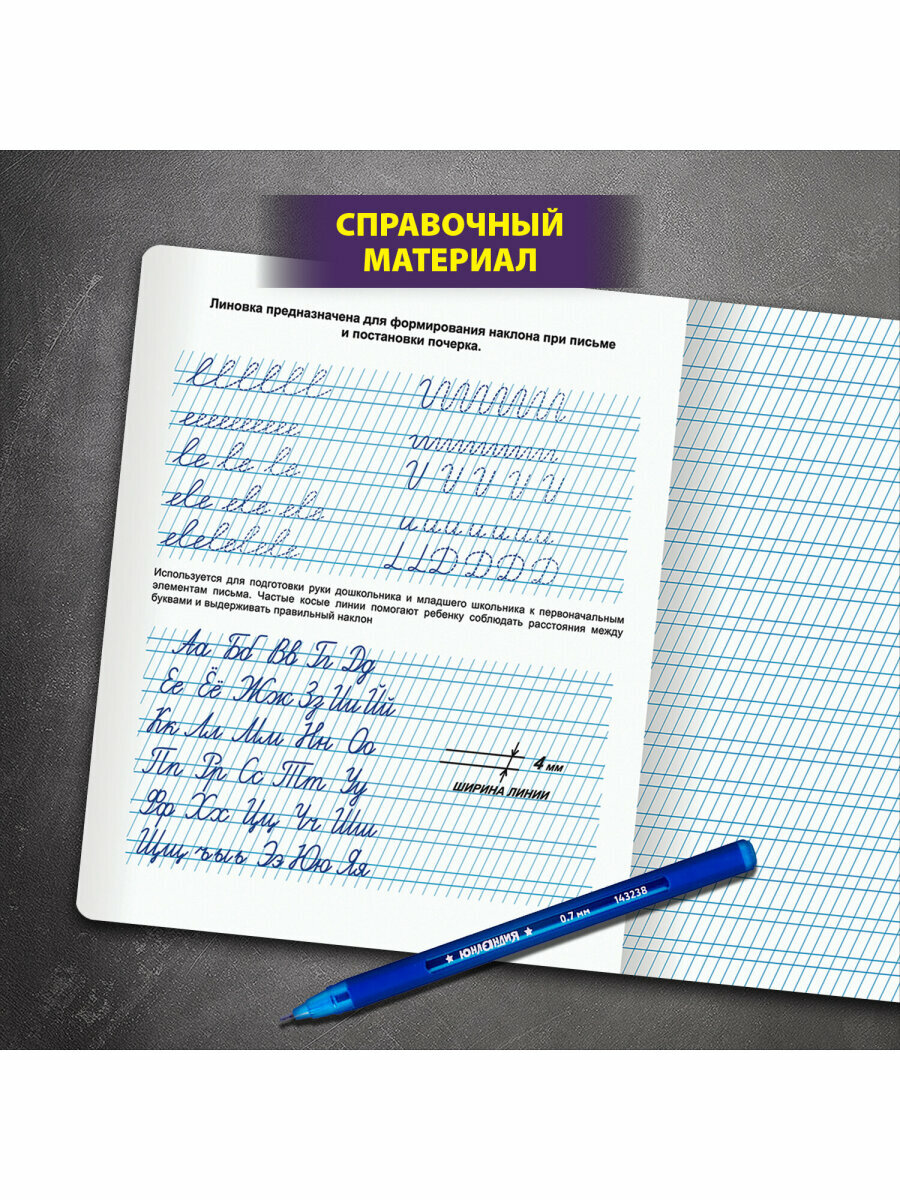Тетрадь в частую косую линейку 12 листов для школы набор 10 штук, прописи для школьников, Юнландия, 404858 — фото 1