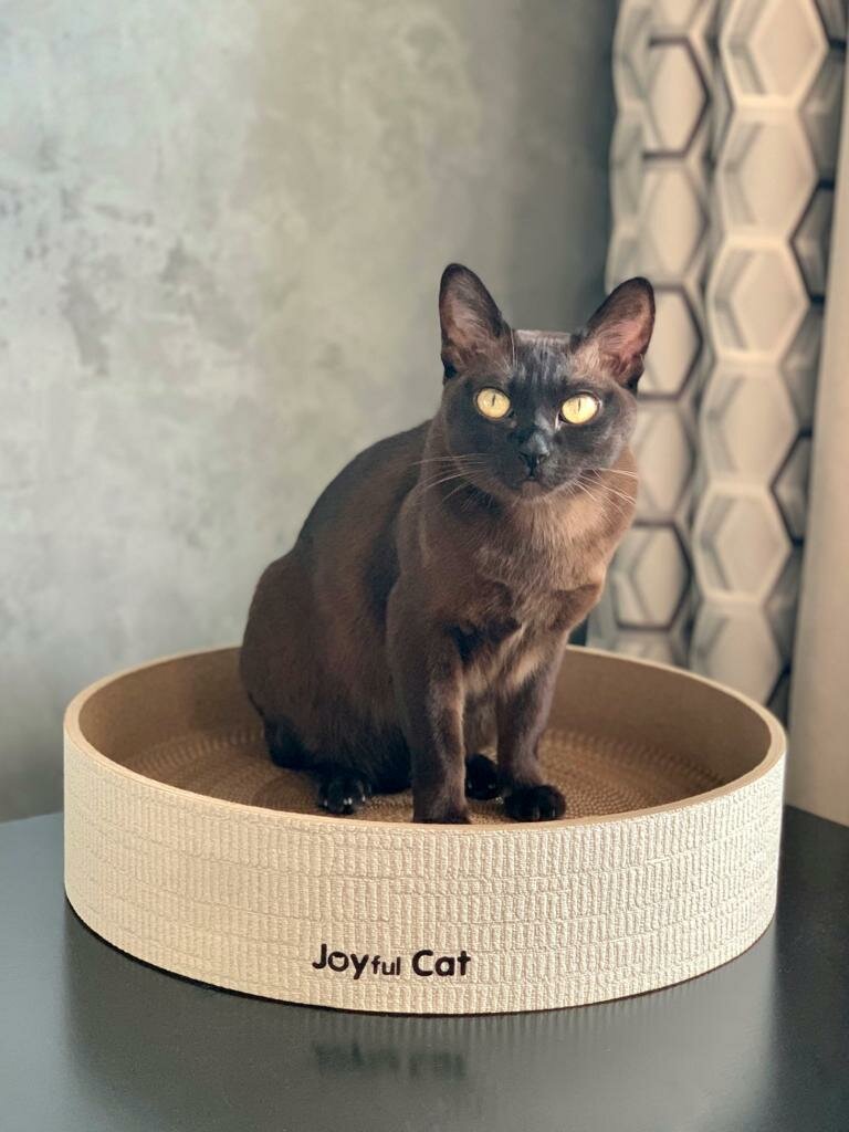 Когтеточка-лежанка Joyful Cat "Hypnose" — фото 1