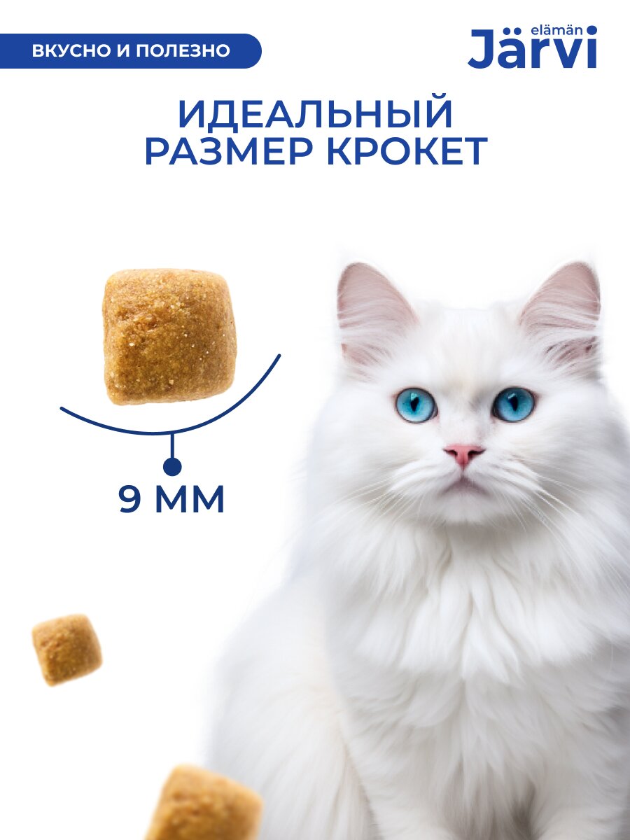 Сухой корм Jarvi полнорационный для взрослых кошек Курица, 400 г — фото 1
