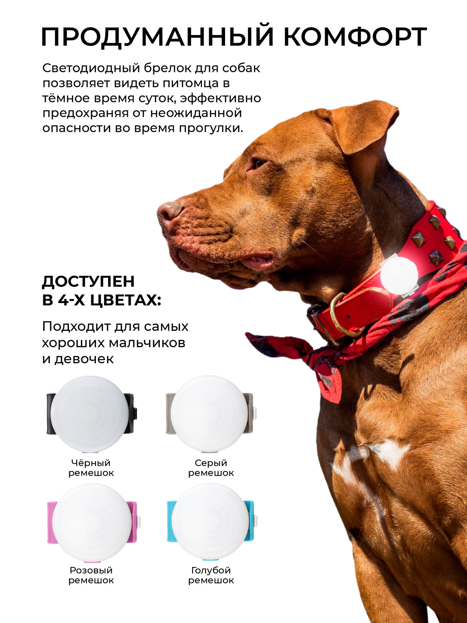 Светящийся брелок на ошейник для собак Pet-it светодиодный на ремешке 6 см, LED фонарик диаметр 3,5 см micro USB серый — фото 1