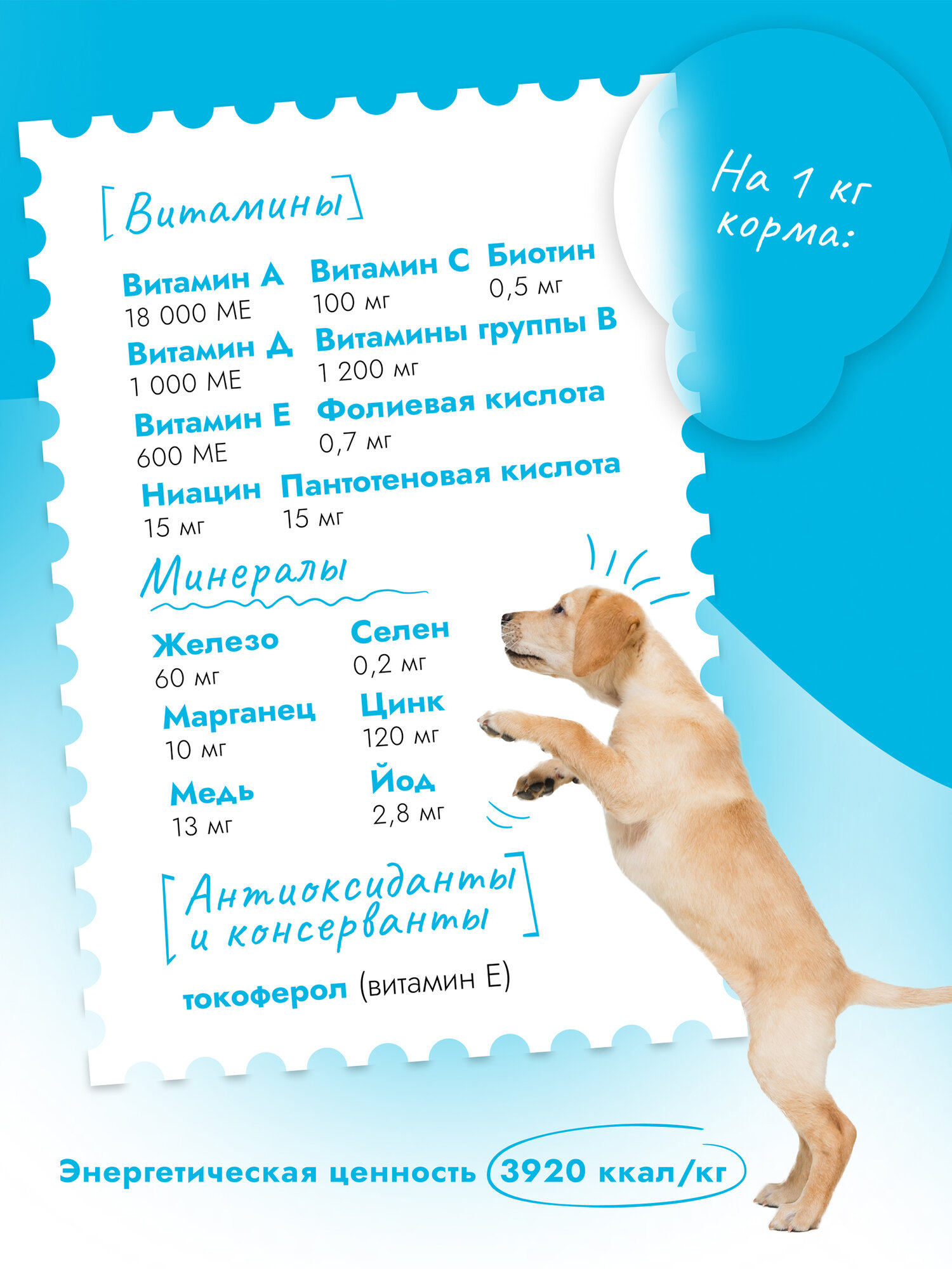 Корм сухой для щенков, кормящих и беременных собак мелких, средних и крупных пород супер премиум класса с ягненком и ягодами при чувствительном пищеварении, 3 кг Best Dinner (Бест Диннер) — фото 1