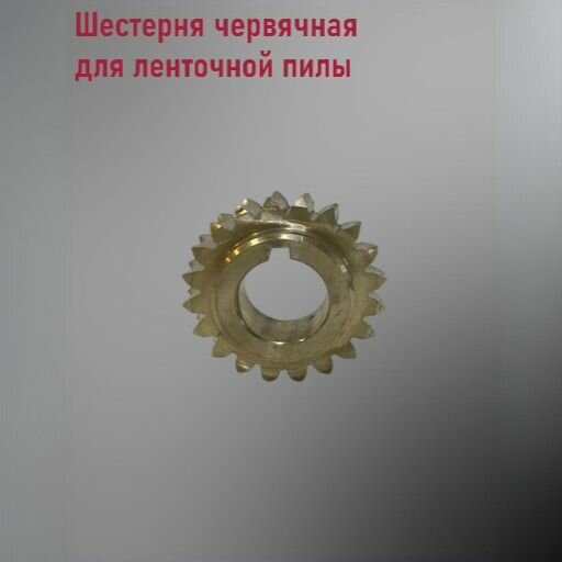 Шестерня червячная — фото 1