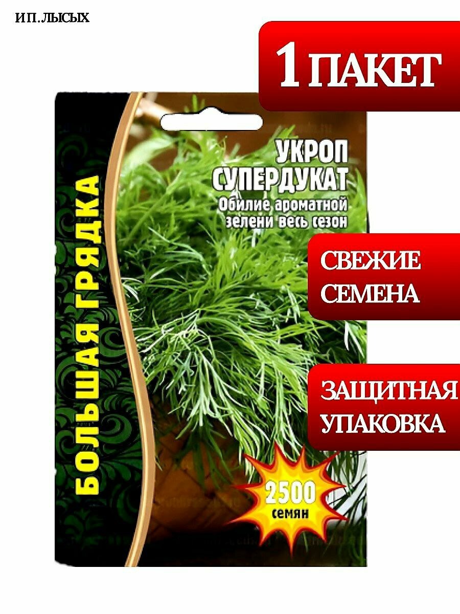 Семена Укроп 